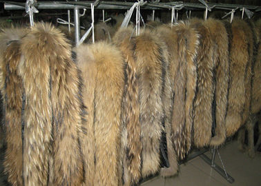 China O colar da pele do guaxinim bronzeou-se do cabelo longo real da pele da pele do cão de guaxinim a pele chinesa do guaxinim fornecedor