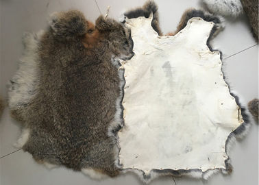 China Pele bronzeada amigável do coelho de Eco Rex 1.5-3 comprimentos da pele do Cm para a matéria têxtil/descansos home fornecedor
