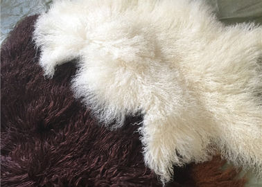 China A pele tibetana branca natural material do Mongolian do lambswool da pele de carneiro encaracolado longa esconde fornecedor