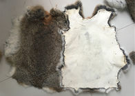 Pele bronzeada amigável do coelho de Eco Rex 1.5-3 comprimentos da pele do Cm para a matéria têxtil/descansos home