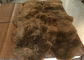 A pele de carneiro real Brown escuro de Austrália tingiu o tapete longo grosso do tapete de lãs de Austrália fornecedor