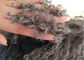 Sala de visitas cabelo encaracolado longo do descanso da pele do Mongolian de 16 polegadas com micro forro da camurça fornecedor