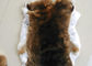 Uso cortado do casaco de pele do coelho, peles brancas da pele do coelho dos cabelos macios para o vestuário fornecedor