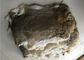 Pele bronzeada amigável do coelho de Eco Rex 1.5-3 comprimentos da pele do Cm para a matéria têxtil/descansos home fornecedor