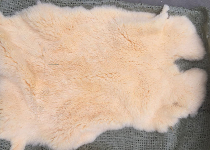 A pele real do coelho de Rex de matéria têxtil home Windproof aquece-se para o forro do revestimento do inverno