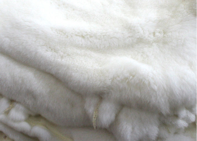 Pele bronzeada real do coelho do GV Rex com projeto do inverno do comprimento do cabelo de 2-2.8cm
