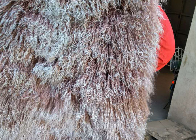 Da pele longa do cordeiro de Tibet do cabelo do couro cru 100% da pele de carneiro do Mongolian tampa encaracolado da placa de lãs
