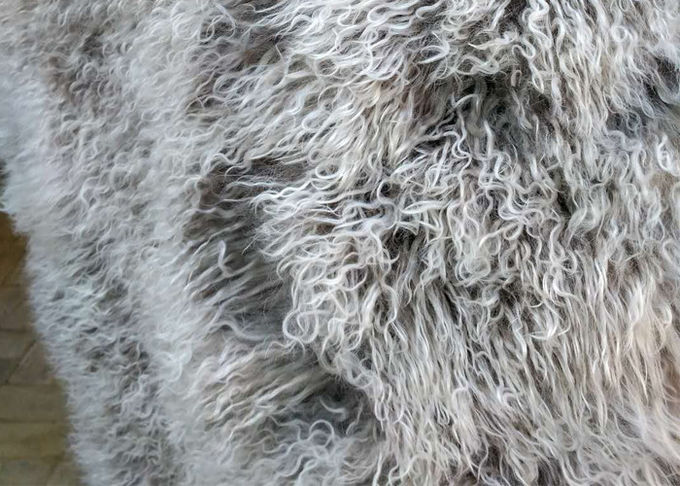 Pele branca Materiral do Mongolian encaracolado natural longo de lãs dos carneiros do cabelo para o lance da cama