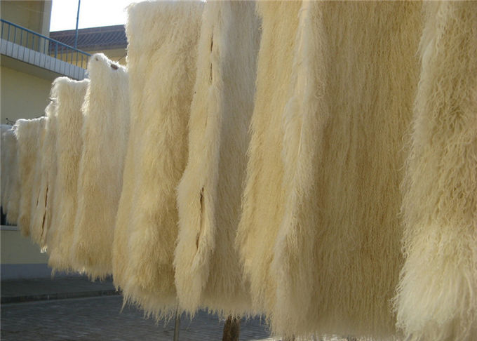 Descanso de lance tibetano da pele do Lambswool do coxim encaracolado longo da pele dos carneiros do mongolian do cabelo