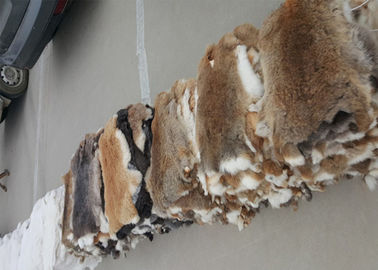 China Cor natural lisa 25*35cm de Brown da pele do coelho de Rex dos acessórios do forro do revestimento fornecedor