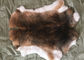 a pele do coelho de 30*40cm Rex descasca o delicado morno, pele de Rex da chinchila com cor natural/tingida fornecedor