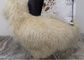 Sala de visitas longa cinzenta do tapete da pele de carneiro do Mongolian do cabelo encaracolado com tamanho dos pés 2*4 fornecedor