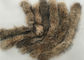 Colar genuíno da pele do guaxinim do revestimento delicado morno do grande com cor natural de Brown fornecedor