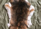 Pele natural do coelho de Rex da chinchila, couro cru cortado genuíno macio do revestimento da pele do coelho fornecedor