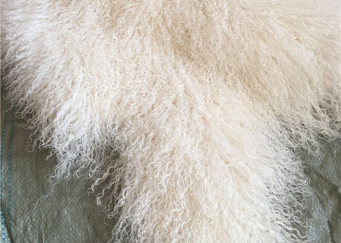 A pele tibetana branca natural material do Mongolian do lambswool da pele de carneiro encaracolado longa esconde